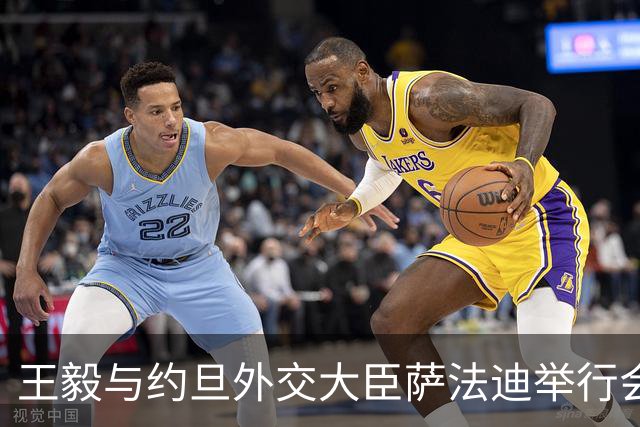 王毅与约旦外交大臣萨法迪举行会谈